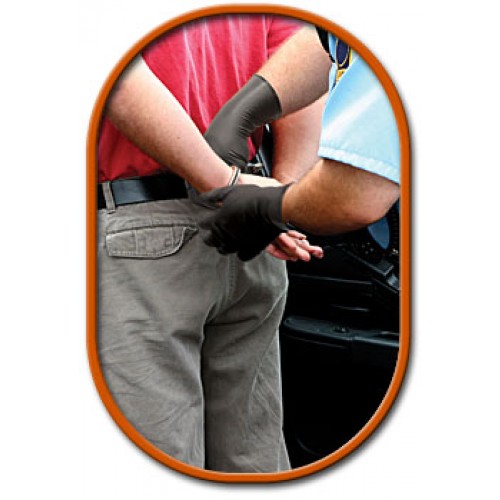 Showa Best NDex Nighthawk Defender Nitrile Gloves