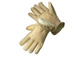 Radnor 6405-7426 Thinsulate Plush Lined Winter Drivers Gloves